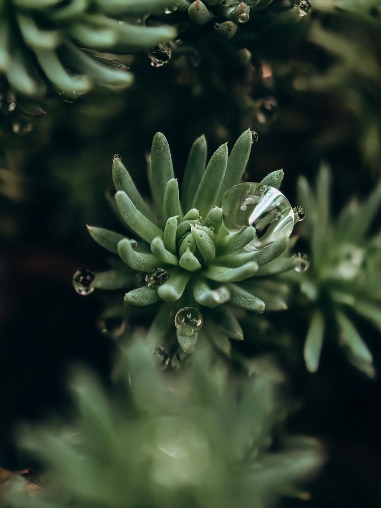 Фотография автора Анна Ворончихина