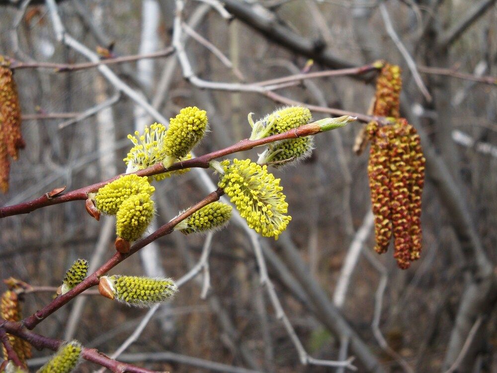 Photograph by Александра Пухкалова