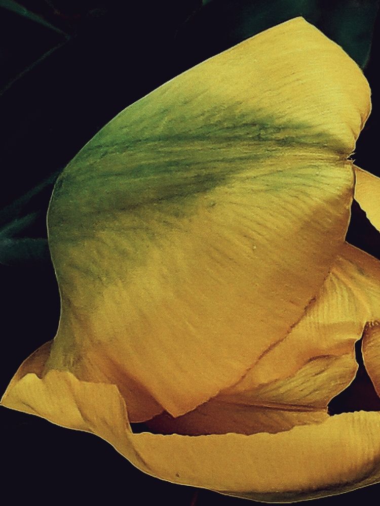 Фотография автора OXANA NAUMOVA