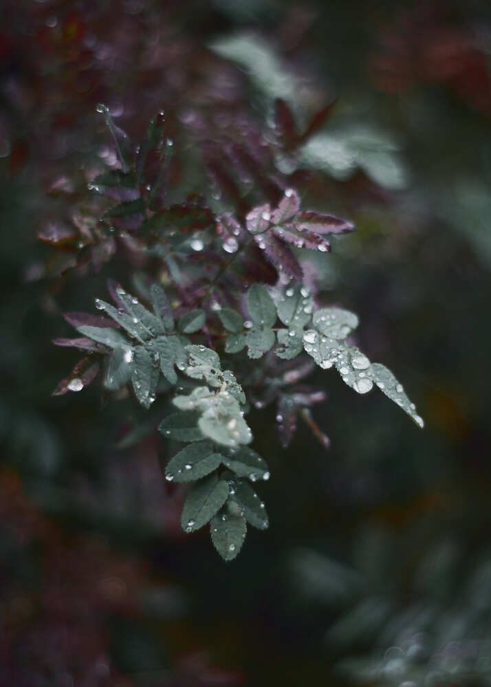 Photograph by Юлия Персинен