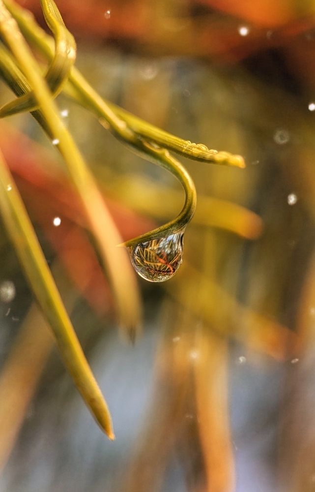 Photograph by Екатерина Колот