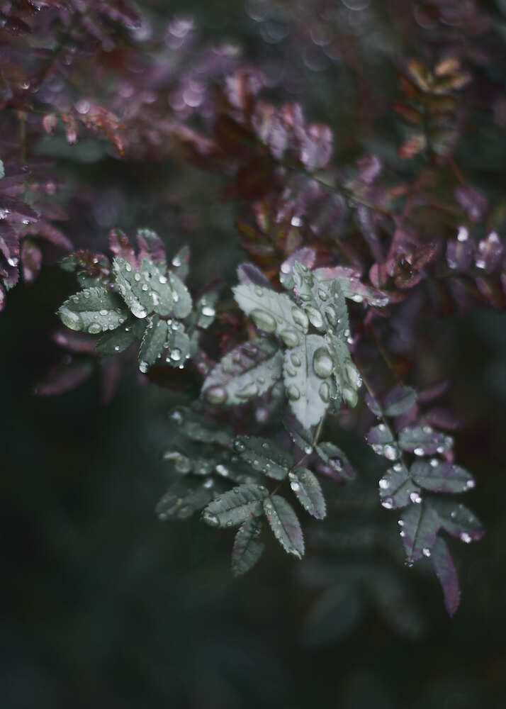 Photograph by Юлия Персинен