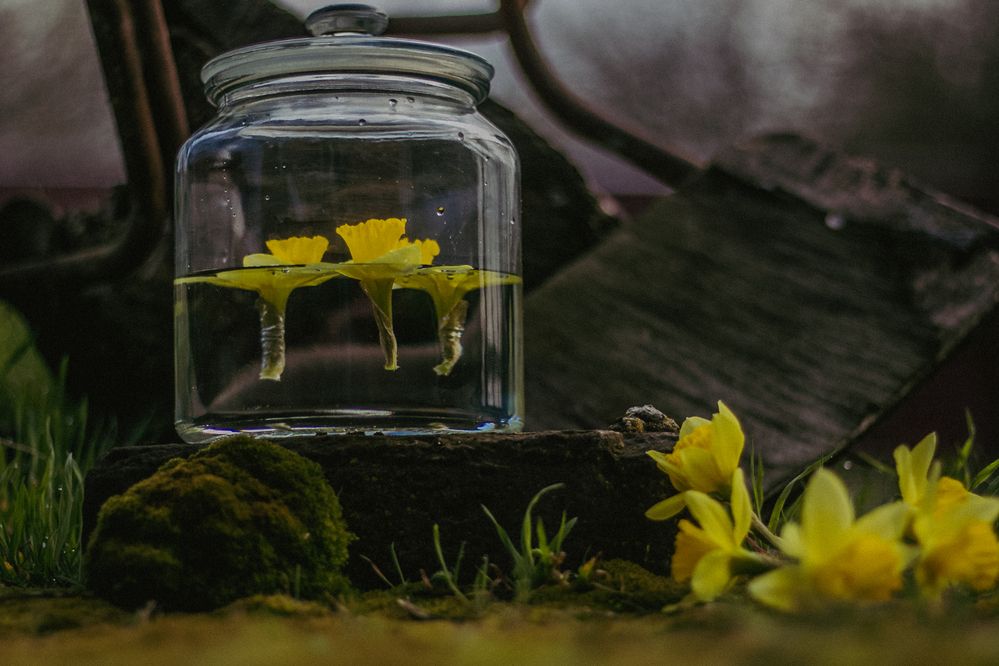 Фотография автора OXANA NAUMOVA