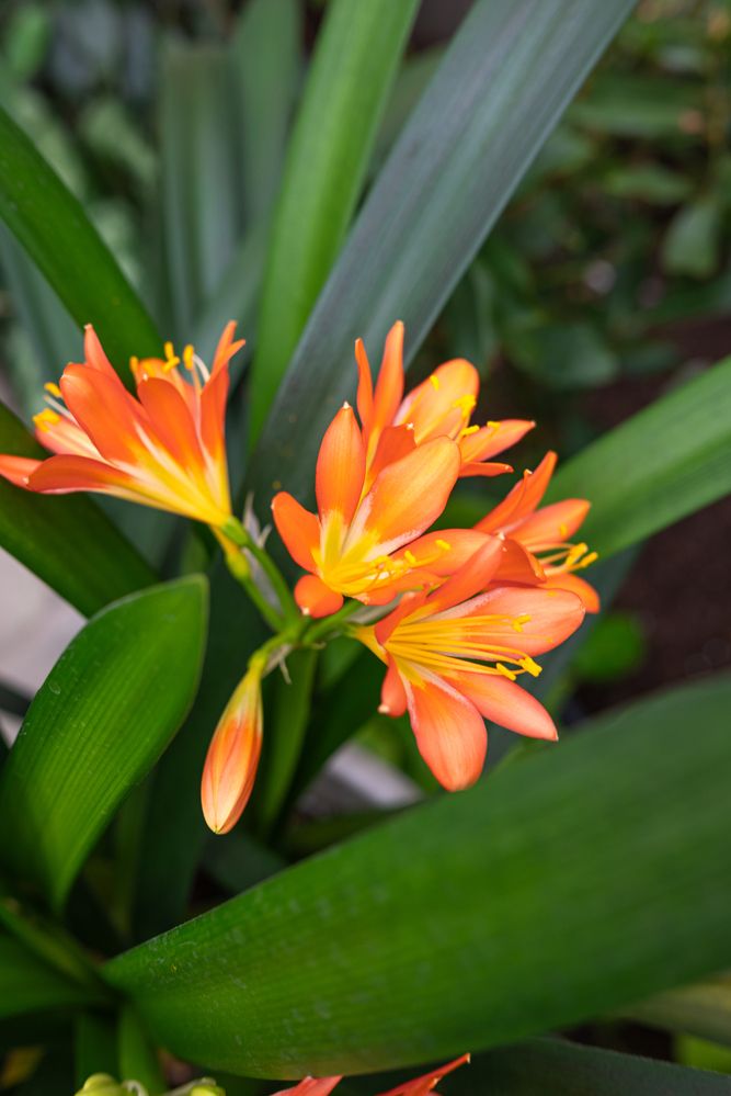 Photograph by Валентина Ивашова