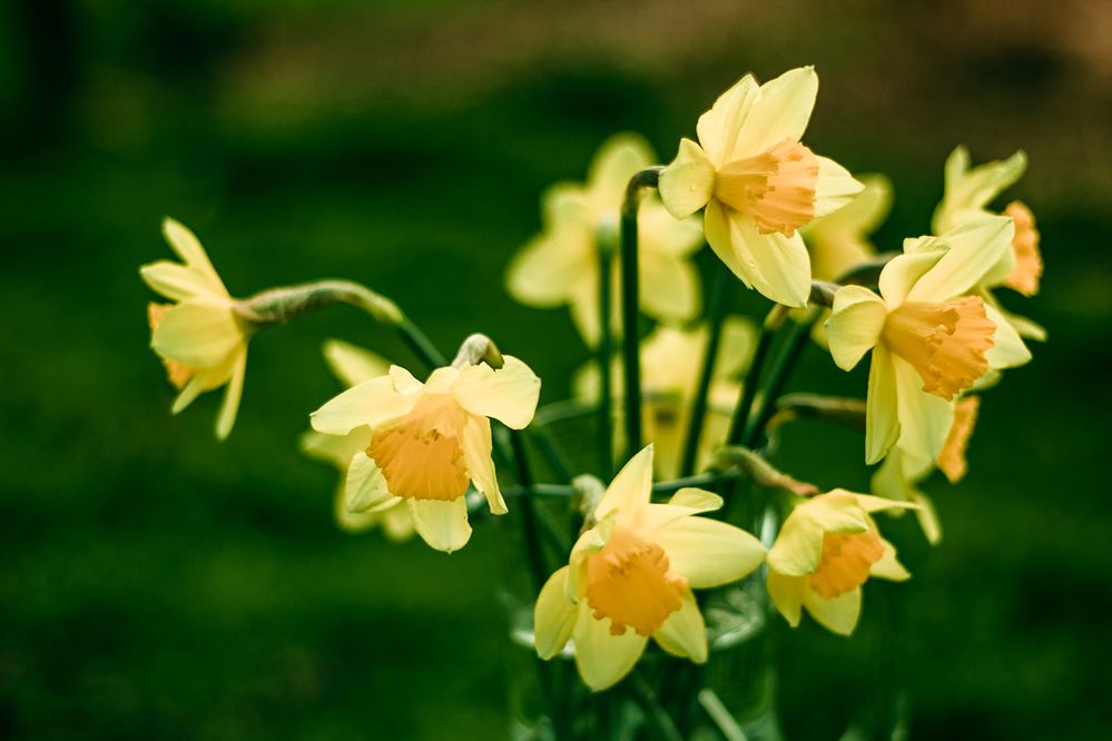 Фотография автора OXANA NAUMOVA