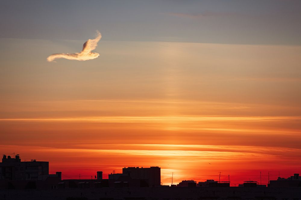 Photograph by Николай Рымар