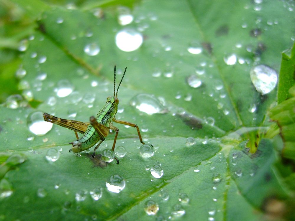 Photograph by Ирина Курьянова