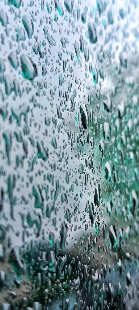 Photograph by Ольга Левакова