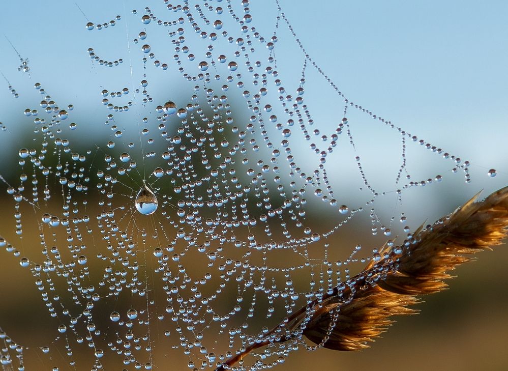 Photograph by Марина Брыдня