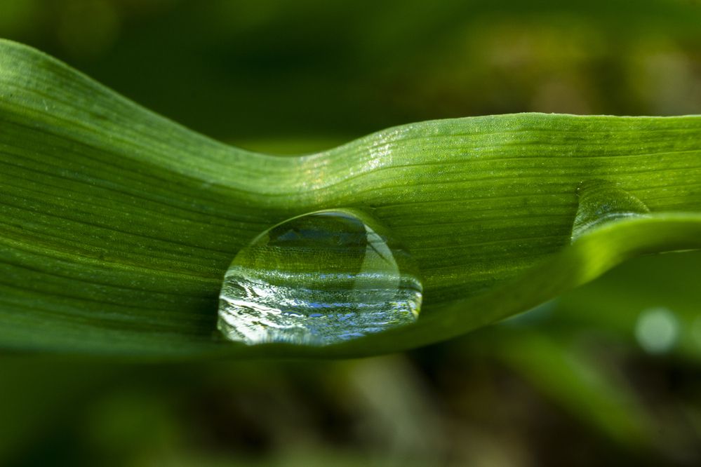 Photograph by Sergey Tsubanov