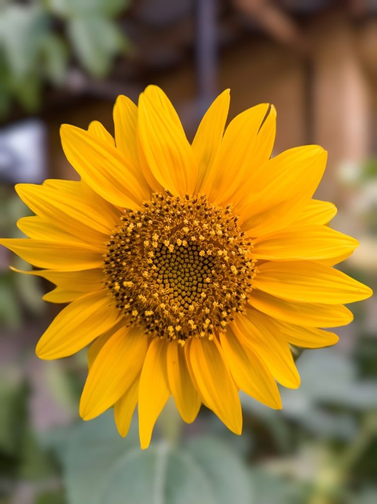 Фотография автора Владимир Ли