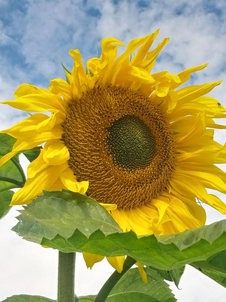 Photograph by Юлия Фирман