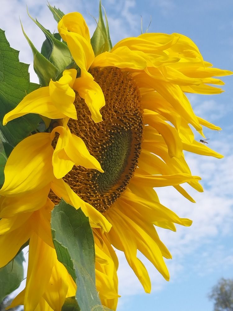 Photograph by Юлия Фирман