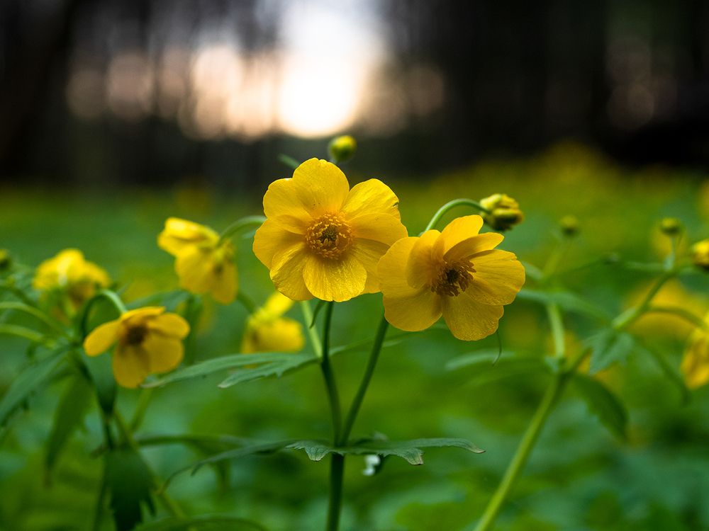 Photograph by Марина Брыдня