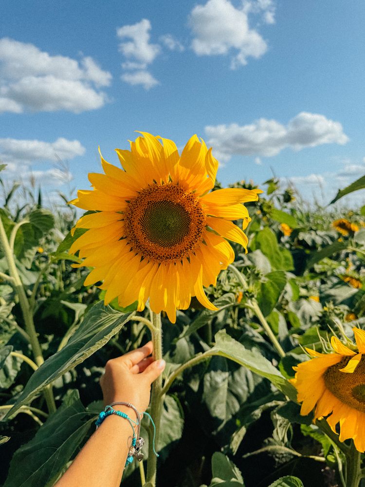 Photograph by Evgenia