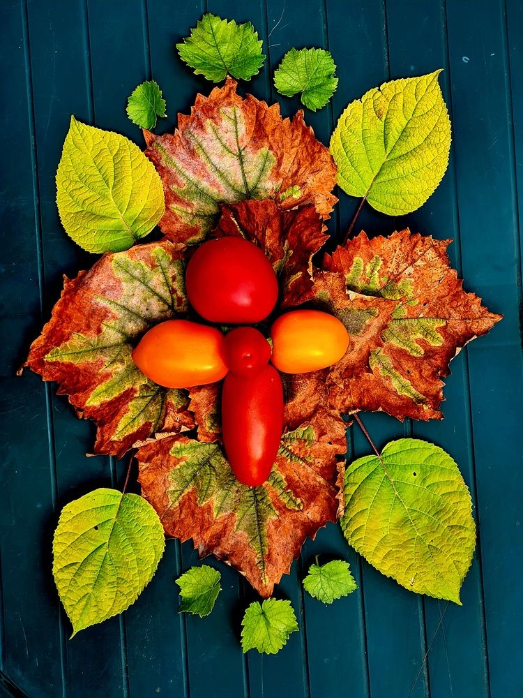 Photograph by Николай Протасеня