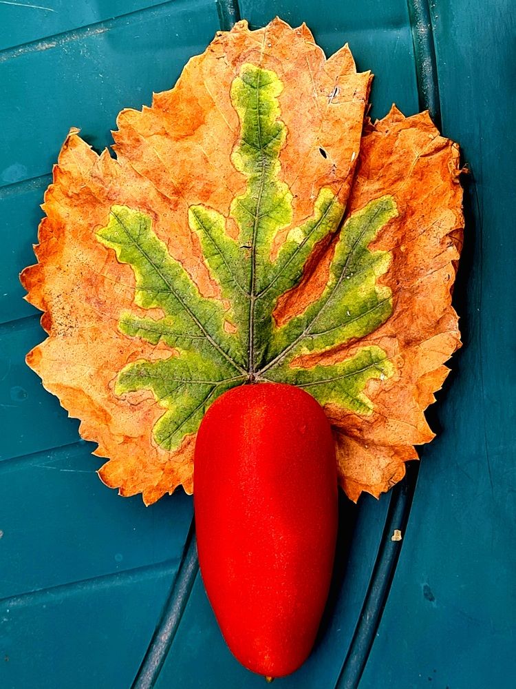 Photograph by Николай Протасеня