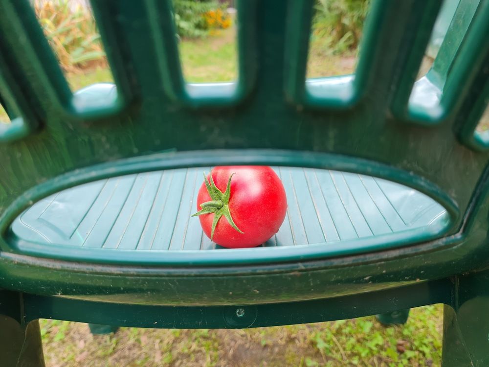 Photograph by Николай Протасеня