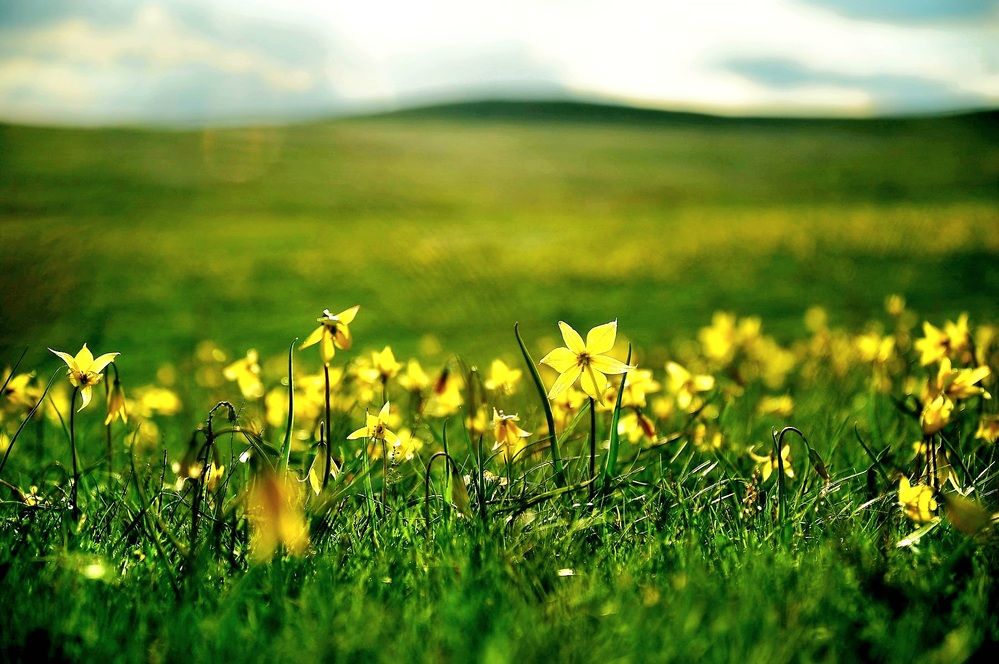 Photograph by Наталья Анисимова