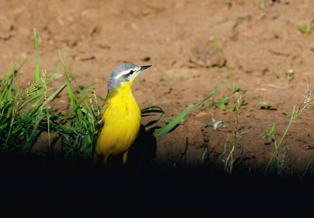 Photograph by Наталья Анисимова