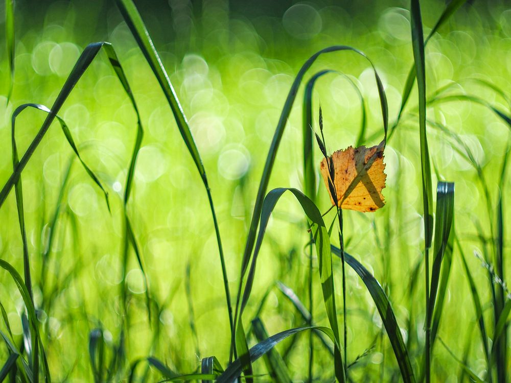 Photograph by Марина Брыдня