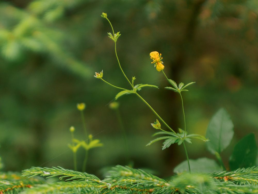 Photograph by Марина Брыдня