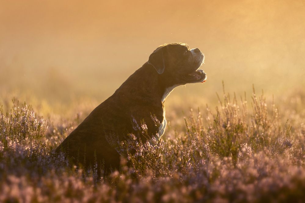 Photograph by Петракова Ольга