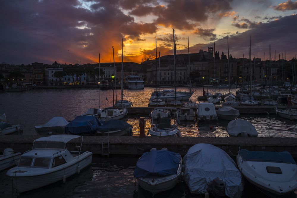 Photograph by Александр Журавлев