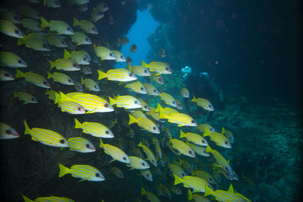 Photograph by Никита Костылёв