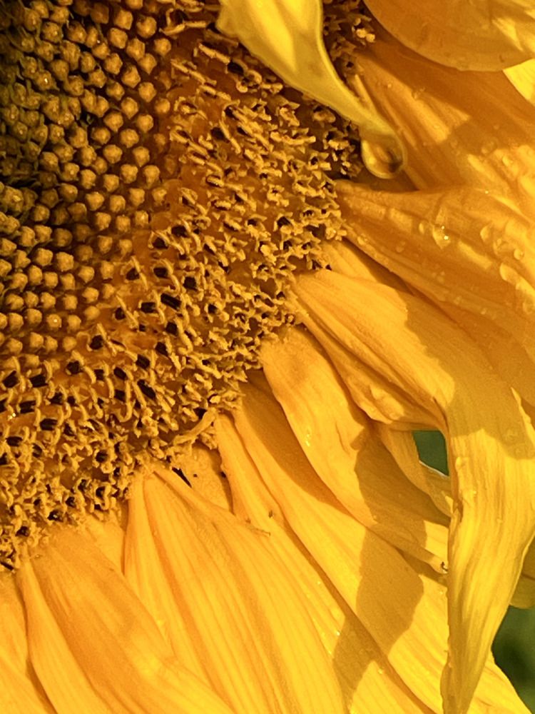 Photograph by Ирина Селиверстова