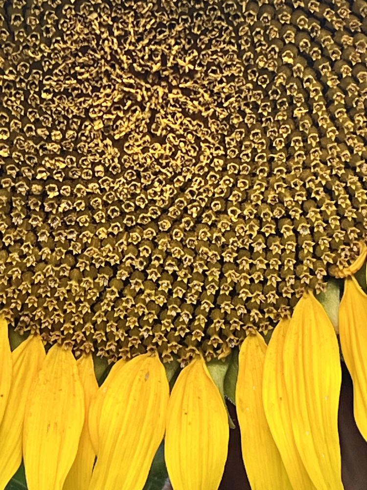 Photograph by Ирина Селиверстова