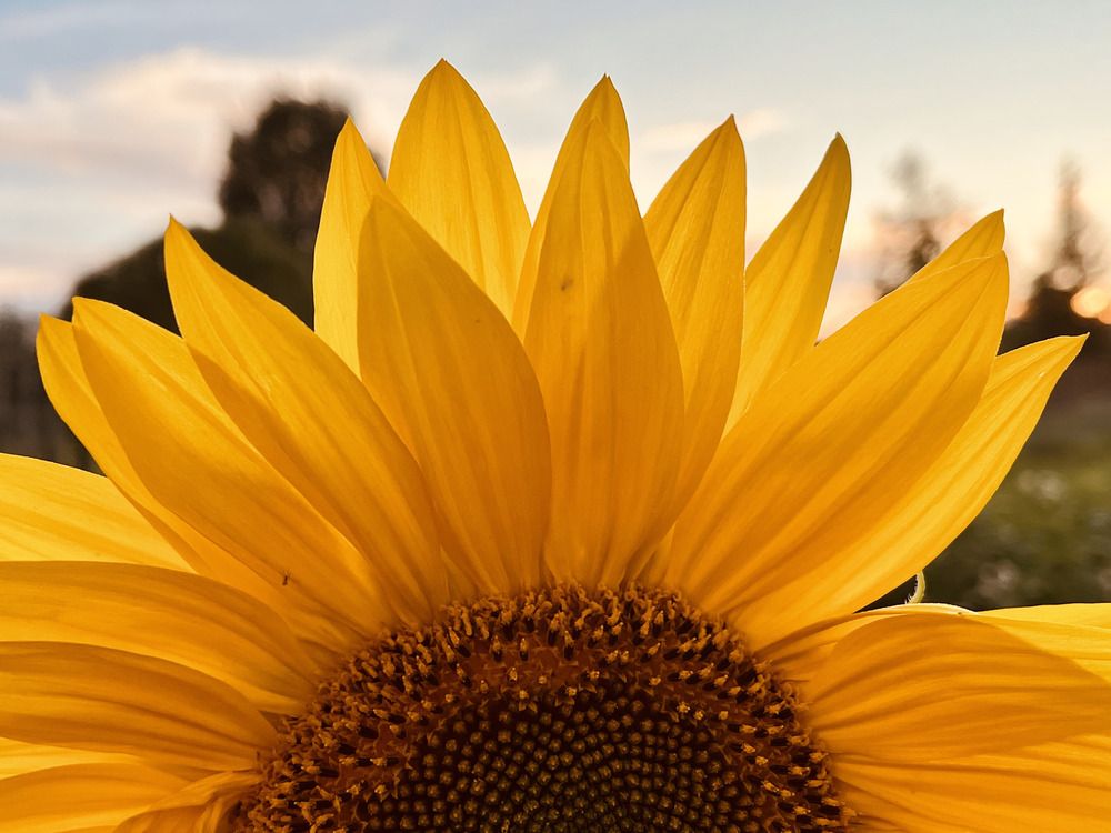 Photograph by Ирина Селиверстова