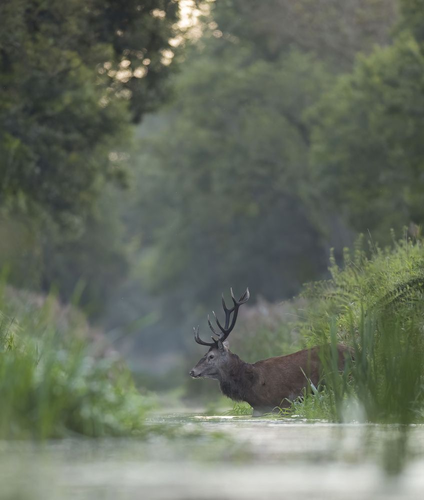Photograph by Hubert Mielnik