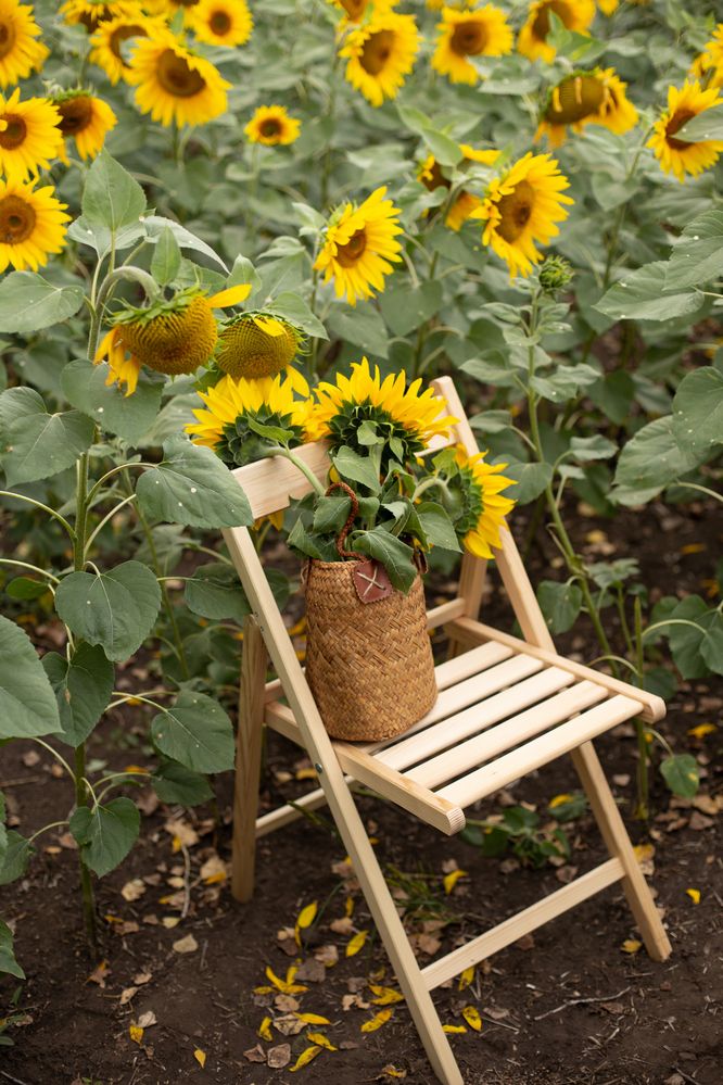 Фотография автора Шутенкова Евгения