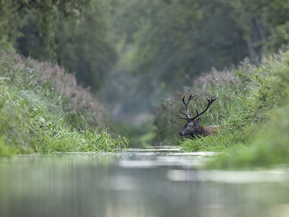 Photograph by Hubert Mielnik