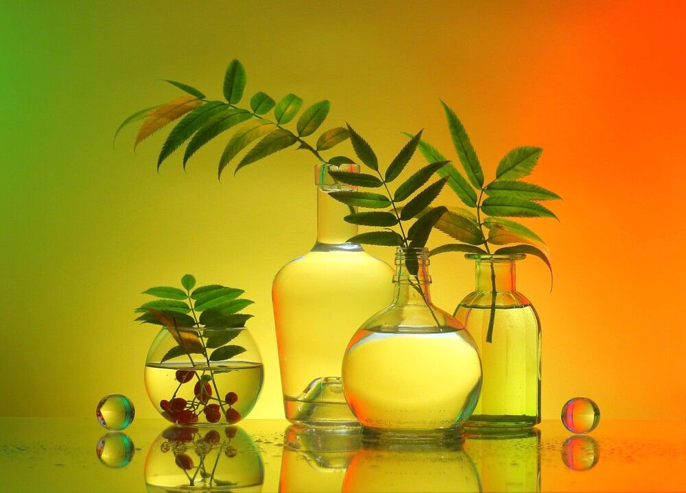 Photograph by Людмила Хрусталева*