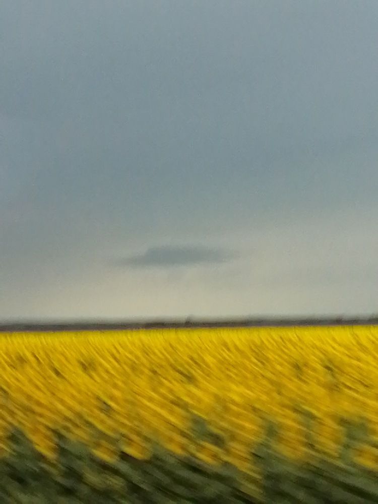 Photograph by Хайбуллина Флора