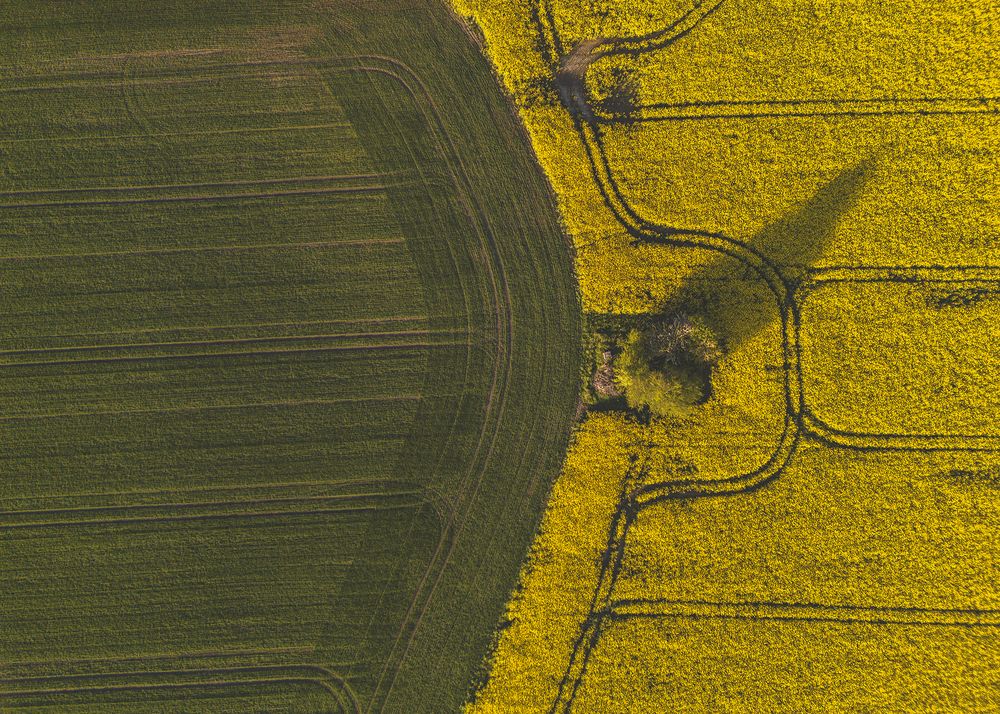 Фотография автора Марис Анкевицс