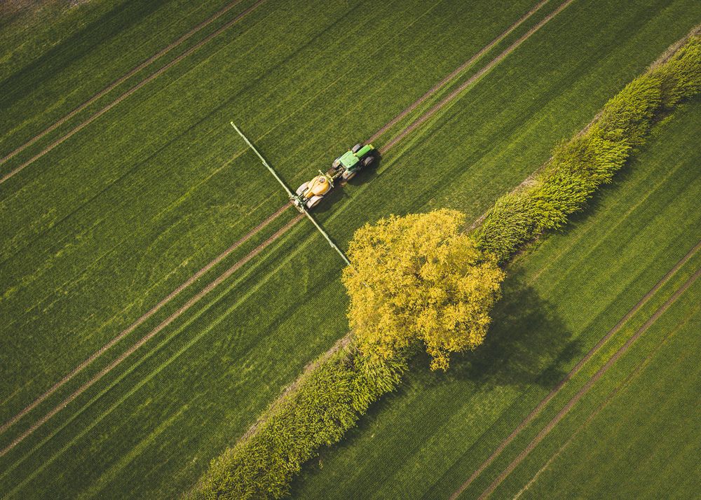 Фотография автора Марис Анкевицс
