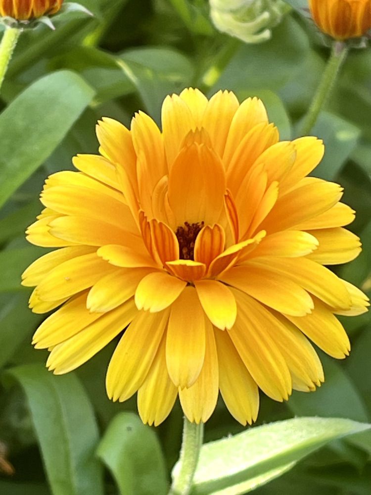 Photograph by Ирина Селиверстова