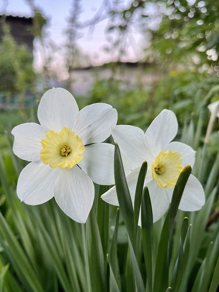 Photograph by Ирина Селиверстова