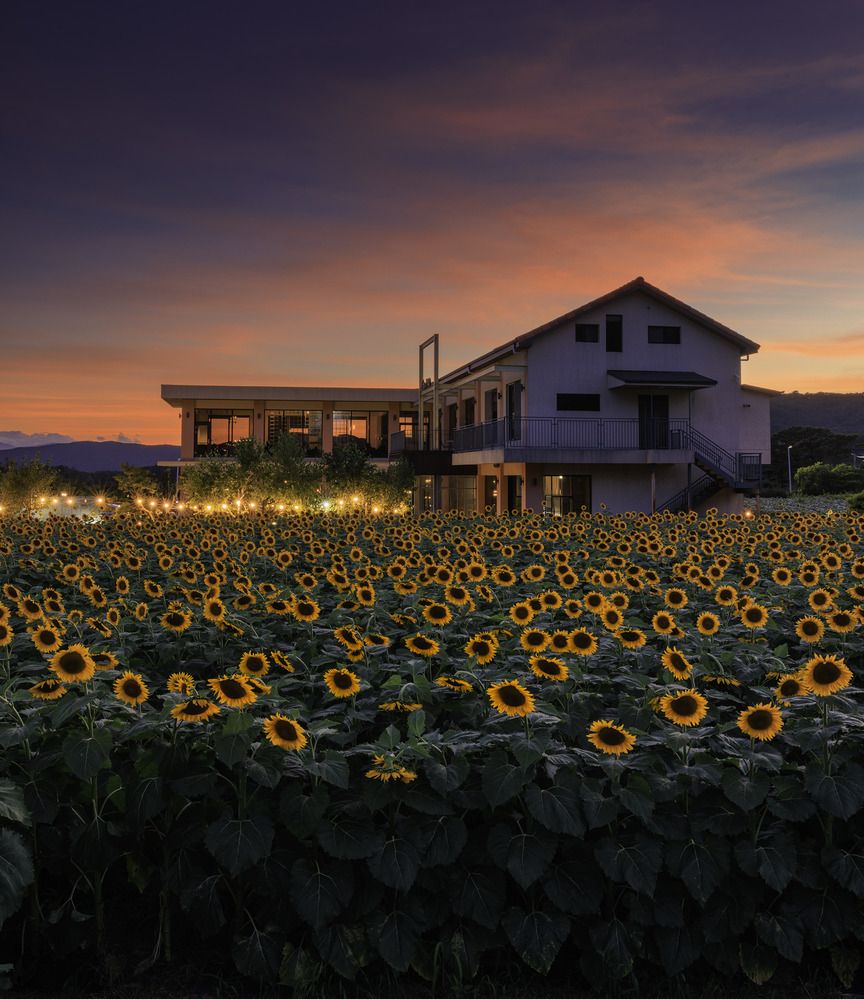 Photograph by NGUYEN NGOC SON