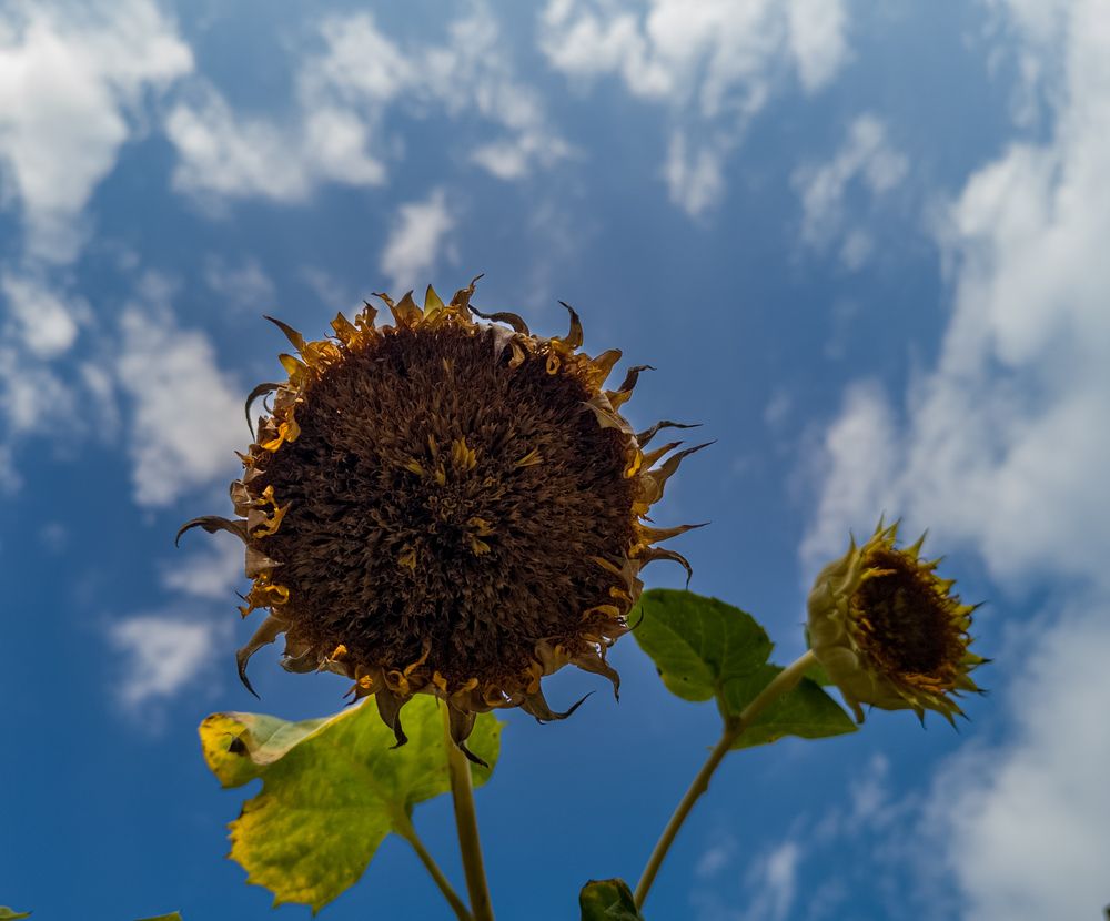 Фотография автора Владимир Ли