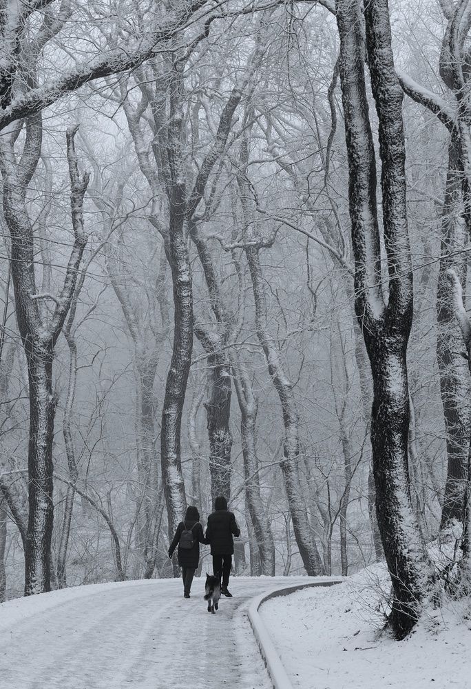 Фотография автора Сергей Кошин