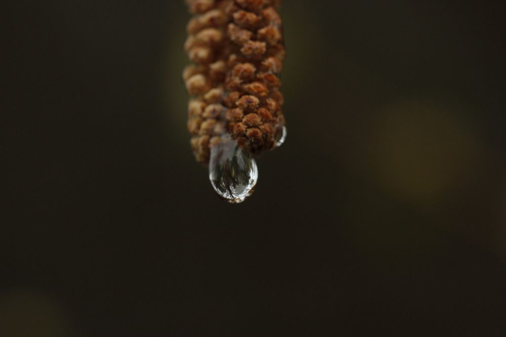 Photograph by Анна-Лаймуте Милошевич