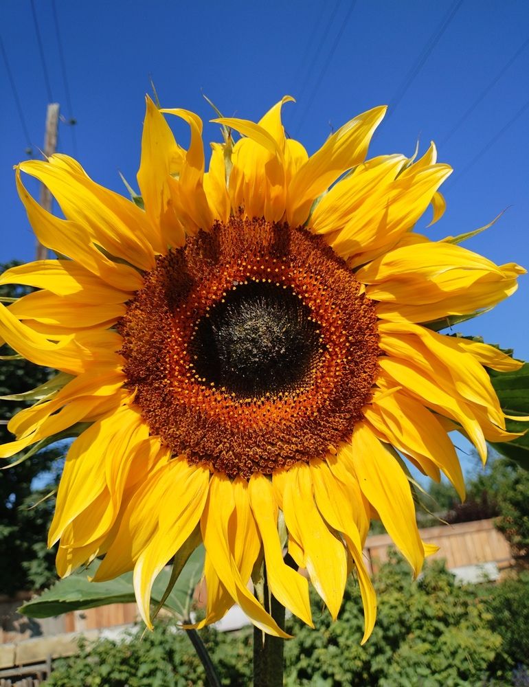 Photograph by Светлана Середина