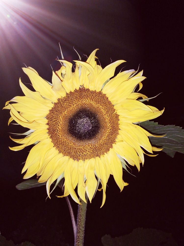 Photograph by Светлана Середина