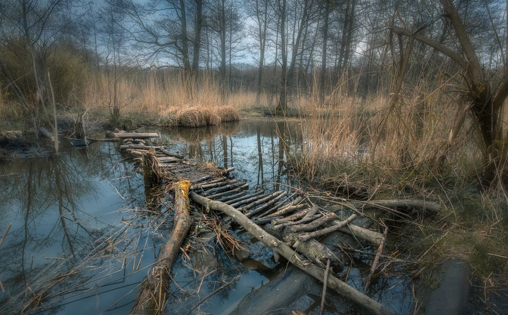 Дорога к Лешему