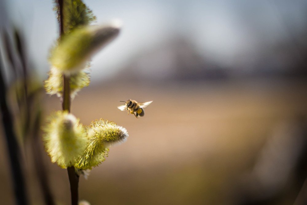 Весна пришла! Пора за работу!