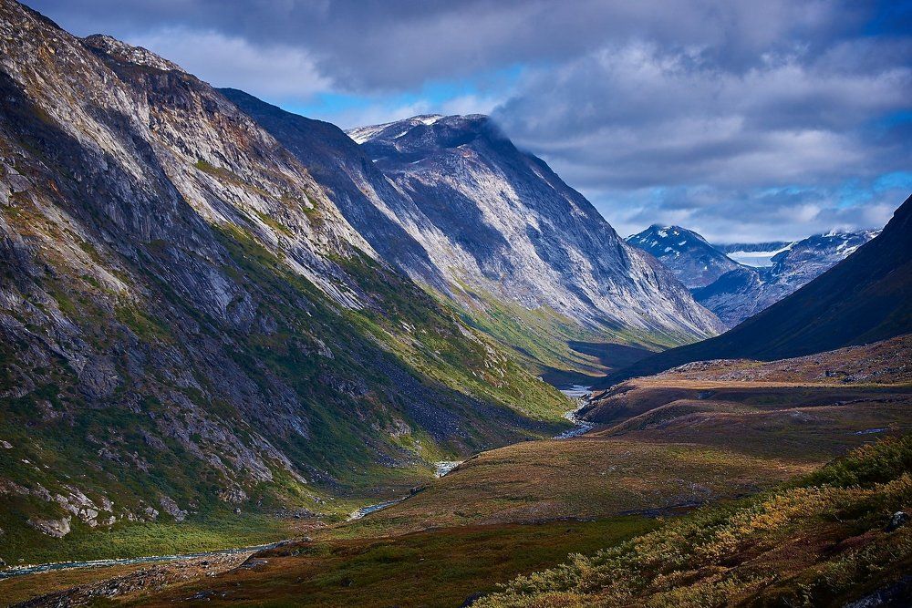 Trying to spot a caribou.